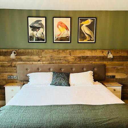 Hare & Hounds Bed & Breakfast Rye Esterno foto