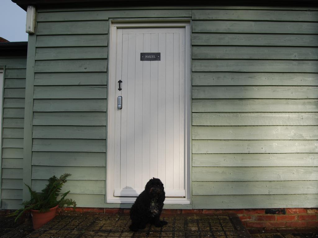 Hare & Hounds Bed & Breakfast Rye Esterno foto