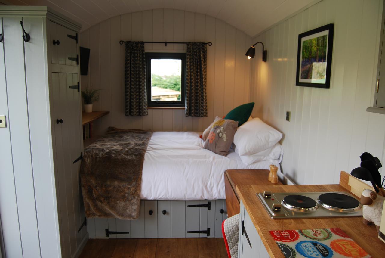 Hare & Hounds Bed & Breakfast Rye Esterno foto